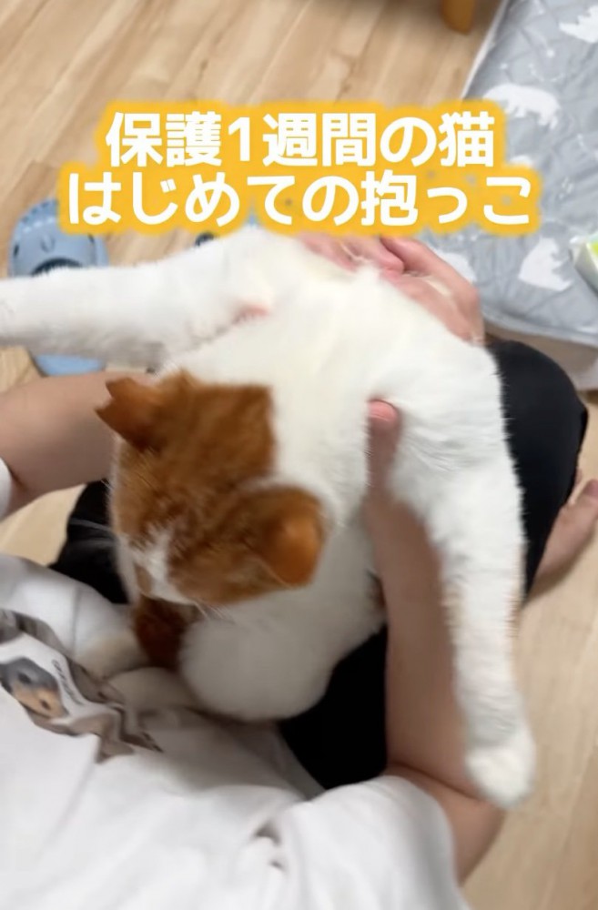 初めての抱っこ