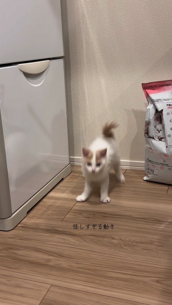 途中まで出てきたのに急ブレーキ