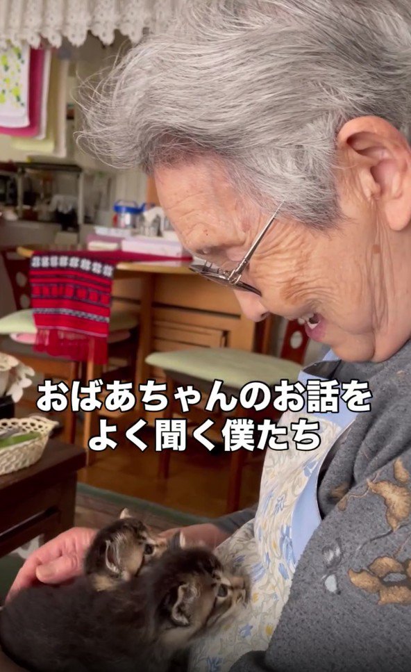おばあちゃんと2匹の子猫