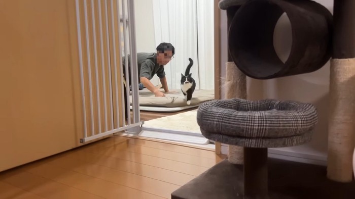 向こうから走ってきて