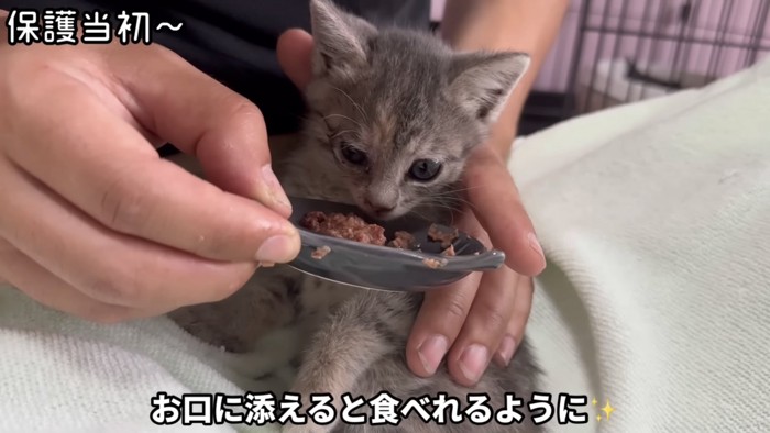 「お口に添えると...」のテロップ写真