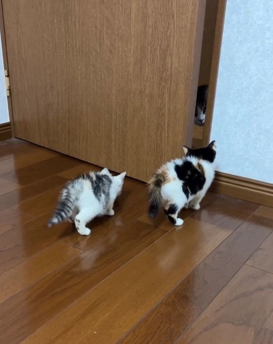 扉の隙間越しに対面