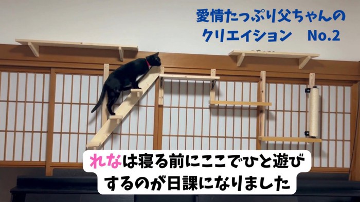 キャットウォークを歩く猫