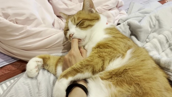 目を瞑る大人クラくん