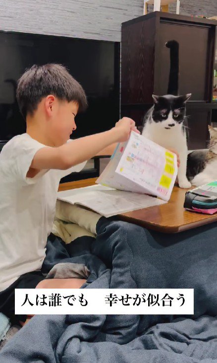 宿題の邪魔をする猫