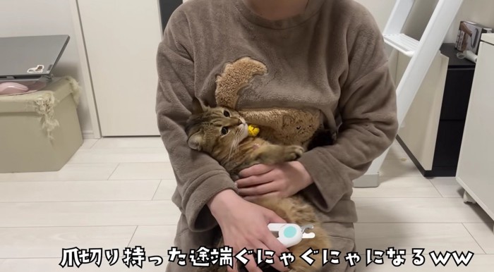 飼い主さんの腕から逃げ出そうとするみにらくん
