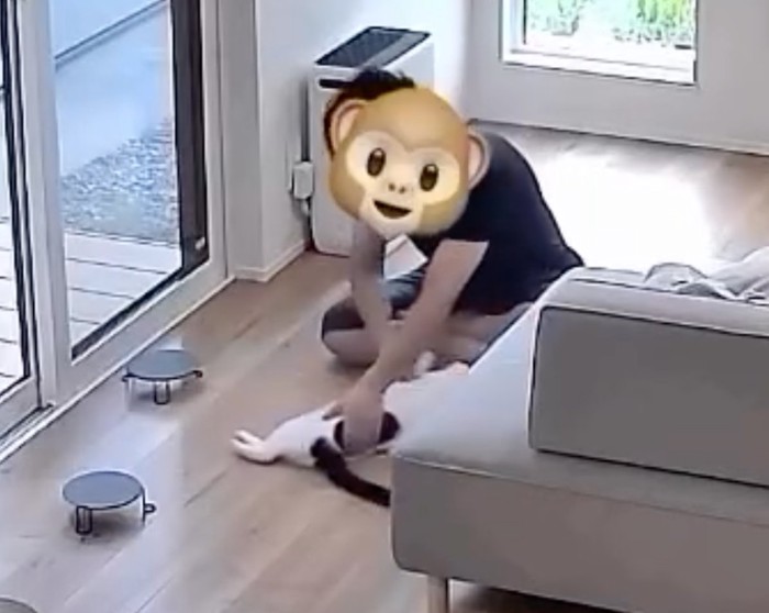 猫を回す男性2