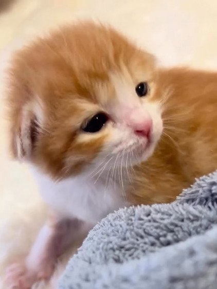 目を開けて顔を上げるむぎくん