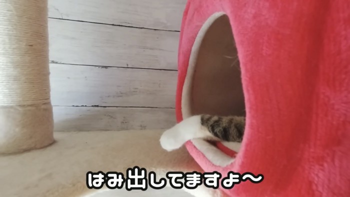 「はみ出してますよ~」のテロップ写真