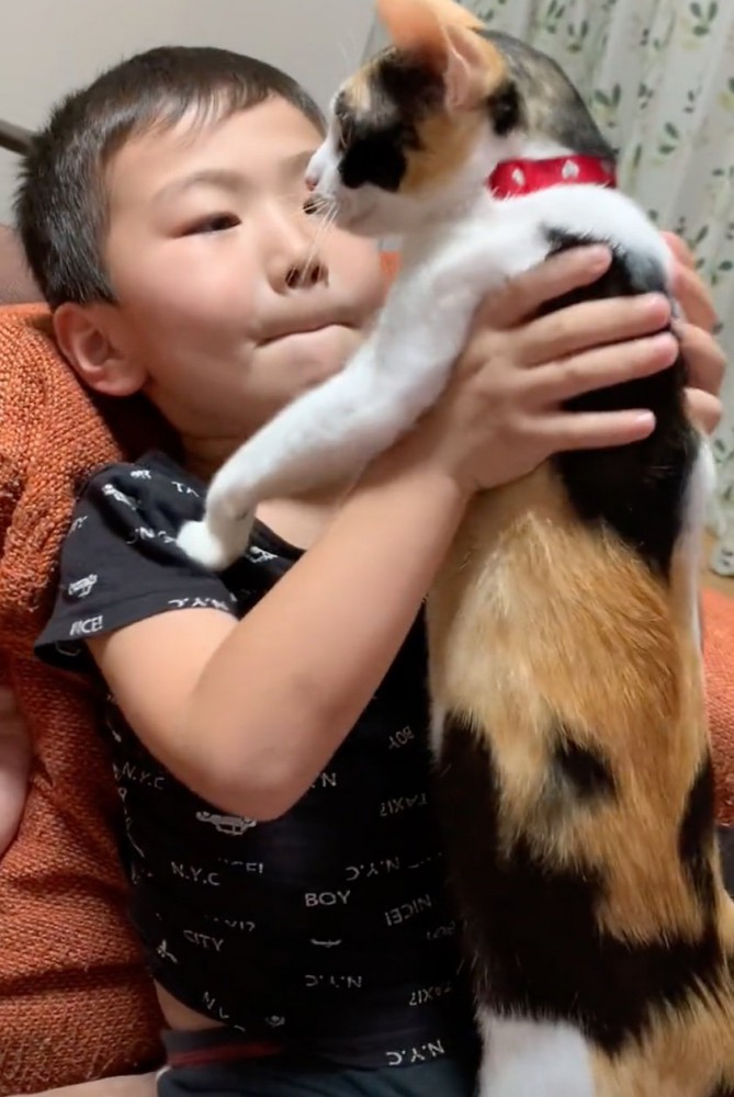 猫を抱き上げる男の子