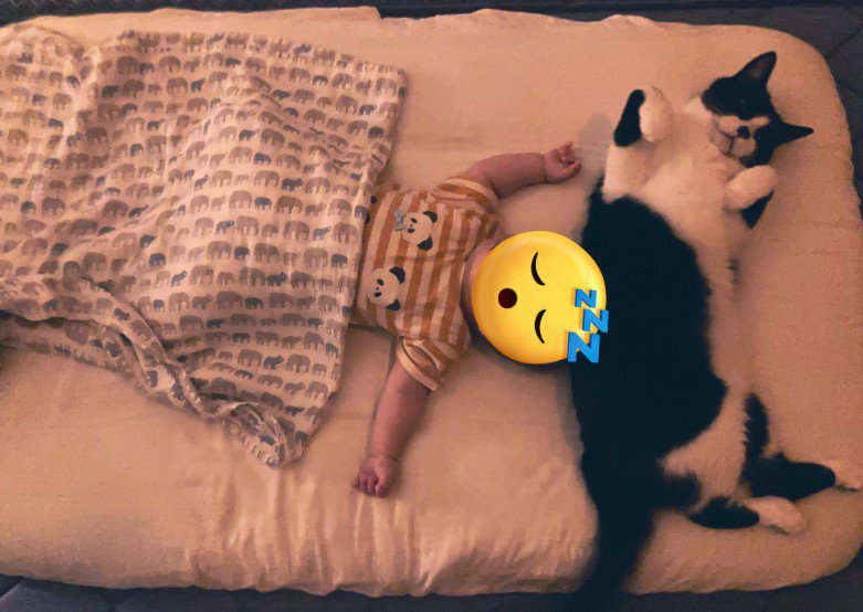 赤ちゃんの横で仰向けになる猫