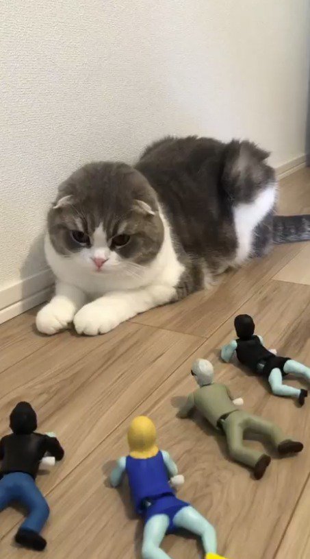 猫に近寄るゾンビのおもちゃ