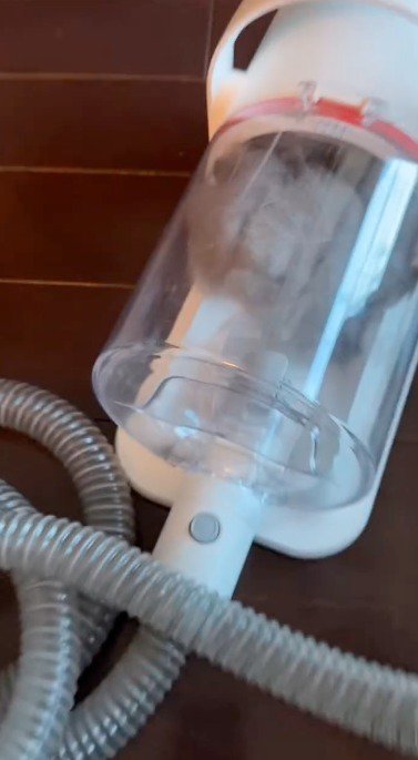 掃除機の中に入っている猫の抜け毛
