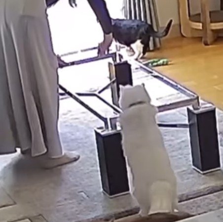 テーブルの枠とるとくん