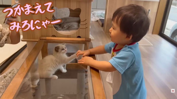 テロップ「つかまえてみろにゃー」