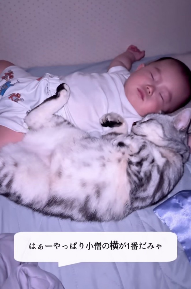 添い寝する猫と赤ちゃん