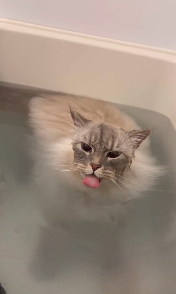 お湯を飲むいれぶんくん