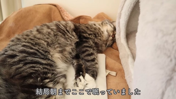 テロップ「結局朝まで~」