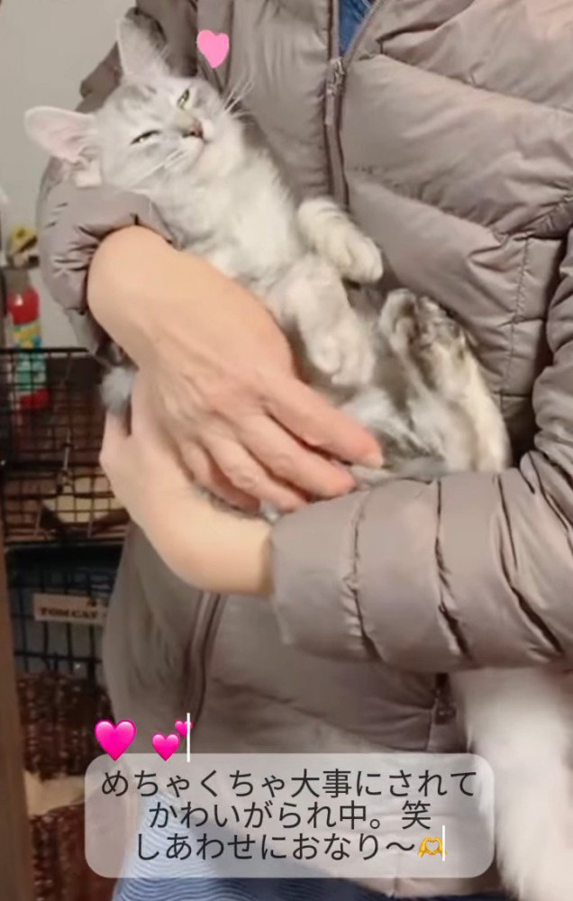 抱っこされる猫