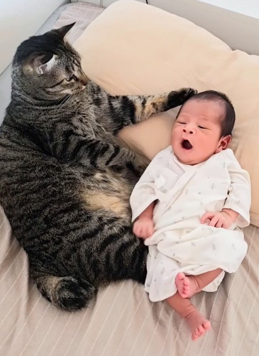 あくびする赤ちゃん