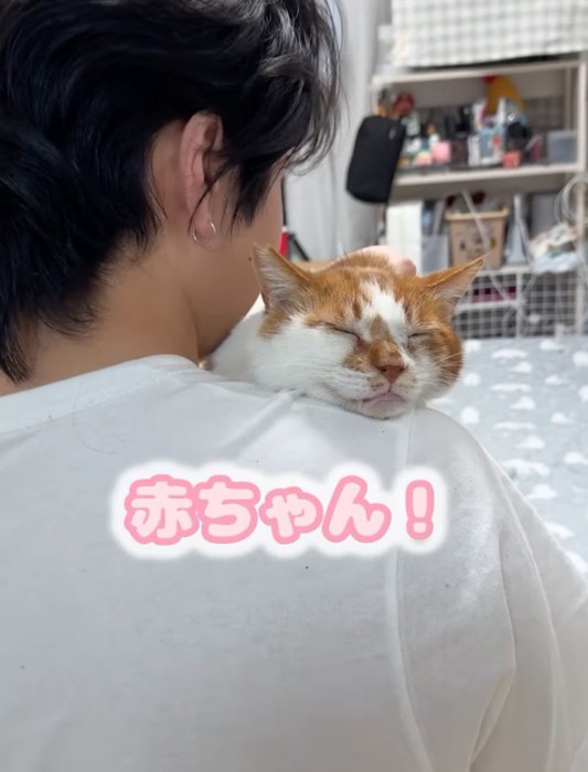 幸せそうにリラックスする猫