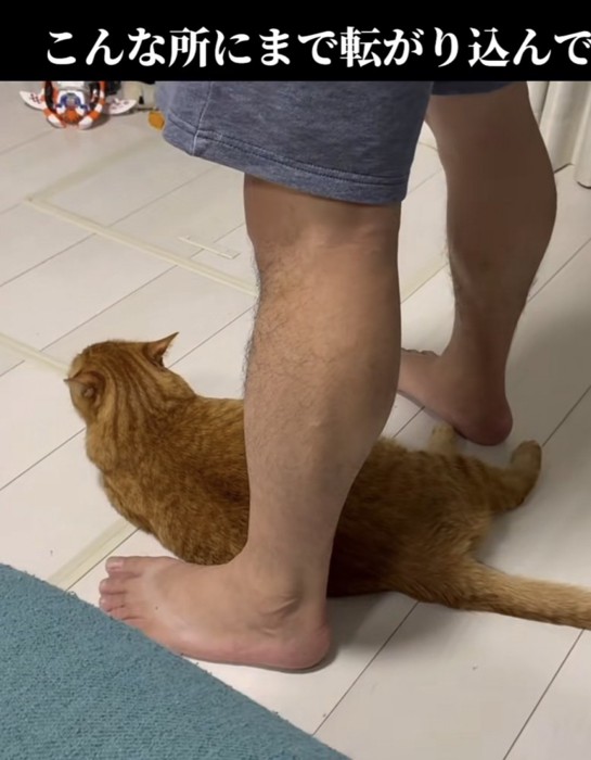 「こんな所にまで転がり込んで」のテロップ写真