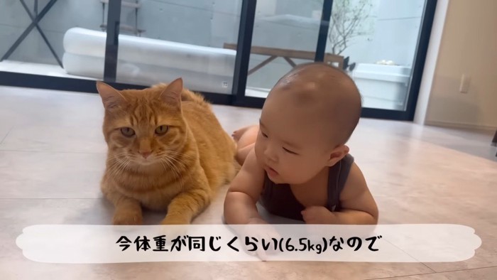 今体重が同じくらい