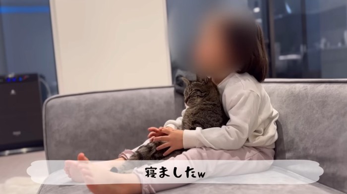 女の子に抱かれて猫