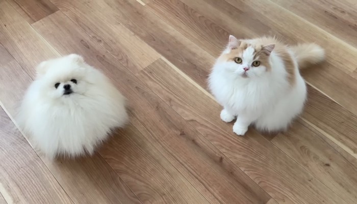 見上げるふたり