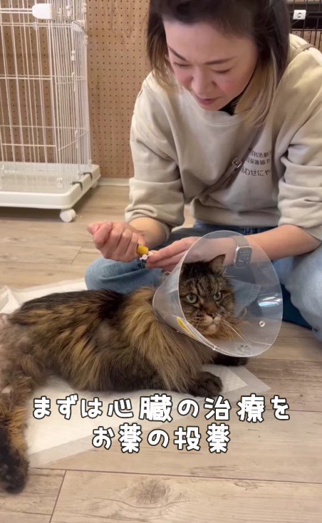 投薬される犬くん