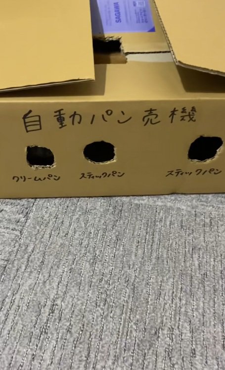 猫用の段ボールのおもちゃ