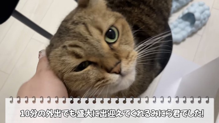 「10分の外出でも...」のテロップ写真