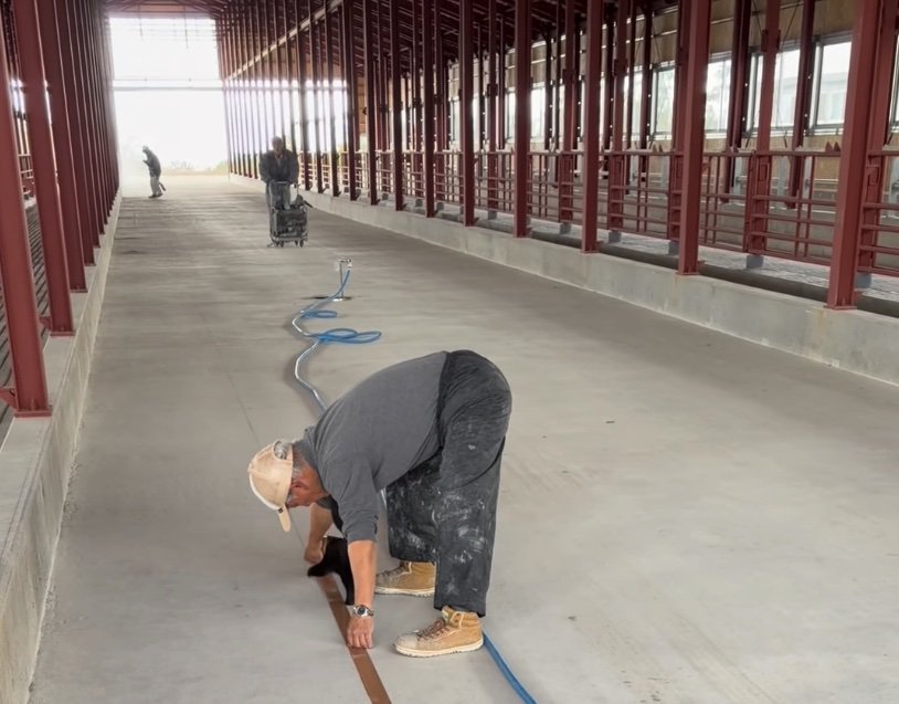 テープを留める子猫