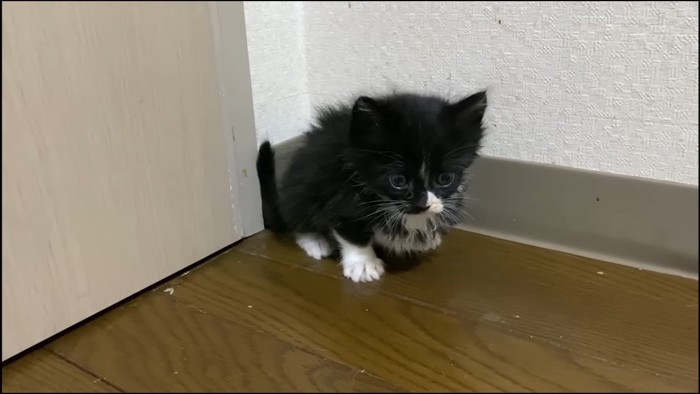 部屋の隅っこ