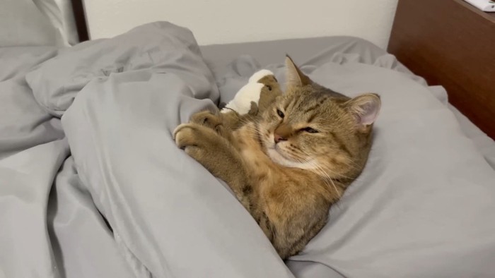 前足を添えた姿(目を細めた顔)