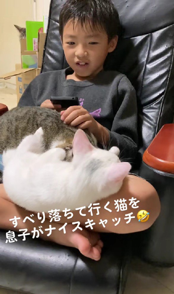 膝の上に猫をのせている男の子