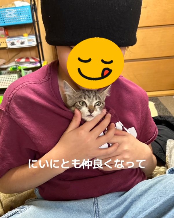子どもに抱っこされている子猫
