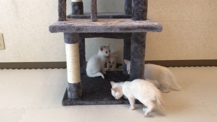 1段目に集合