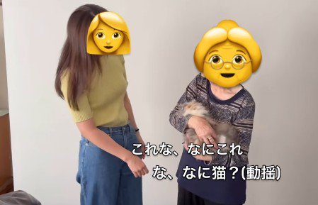 猫を抱っこする女性とおばあちゃん