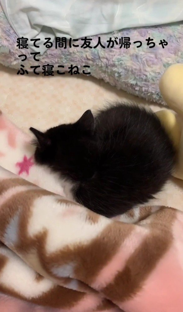 拗ねているねむちゃん