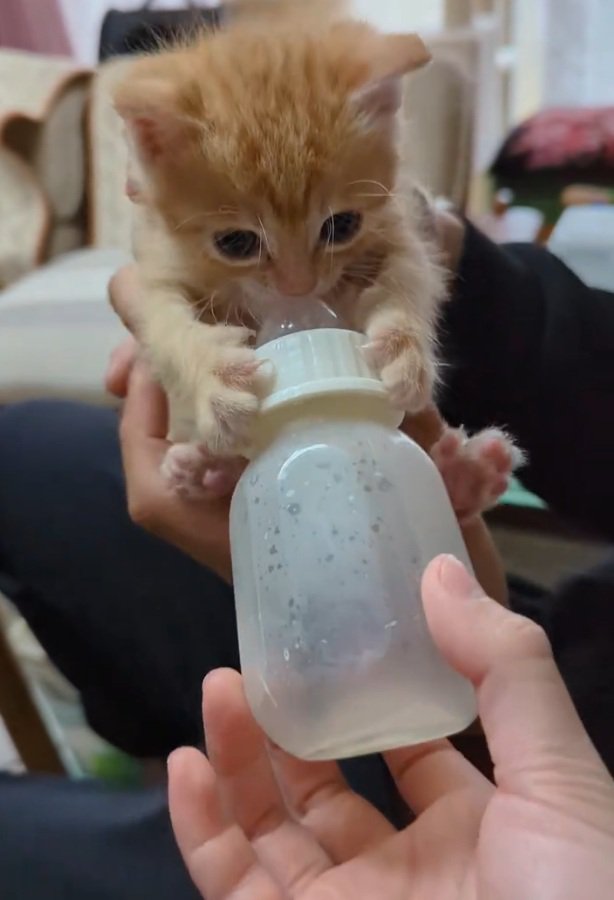 哺乳瓶を離そうとしないチャッピーくん