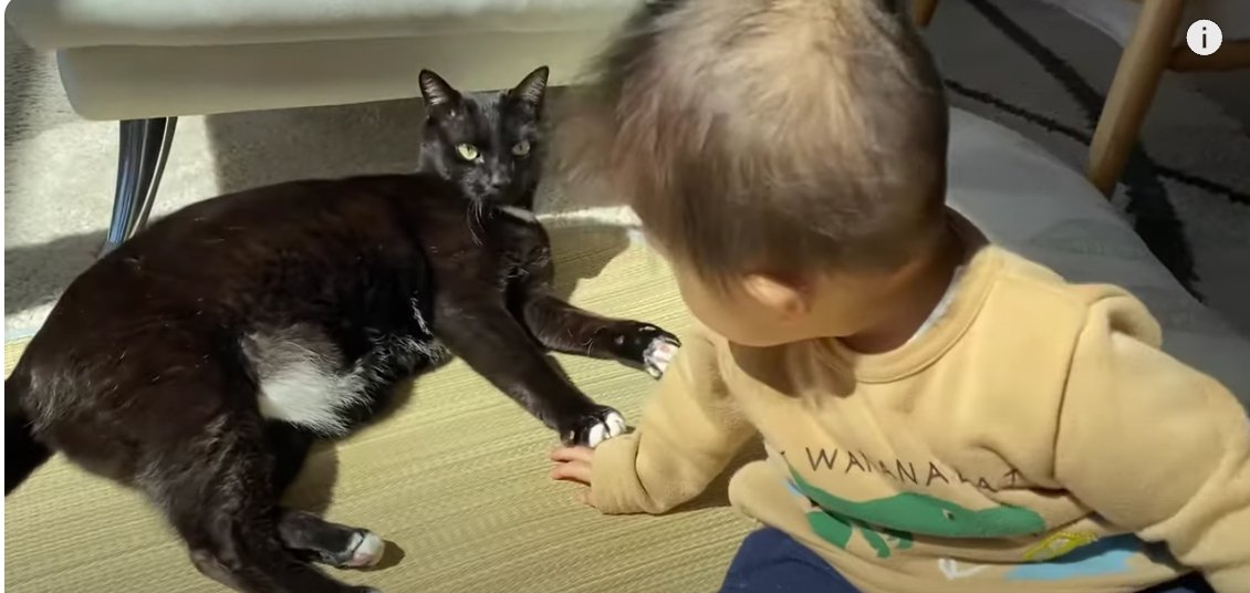 赤ちゃんと黒白猫