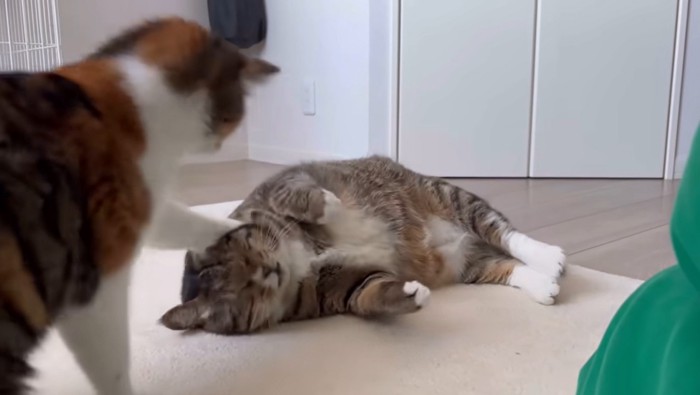 ナラ姫の連続パンチ