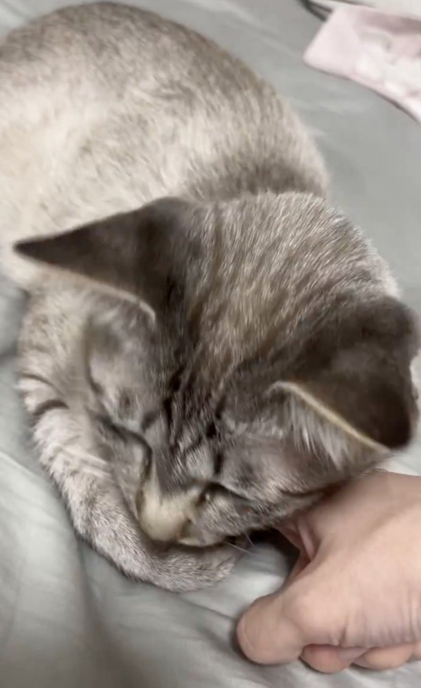 顎で抱きしめる