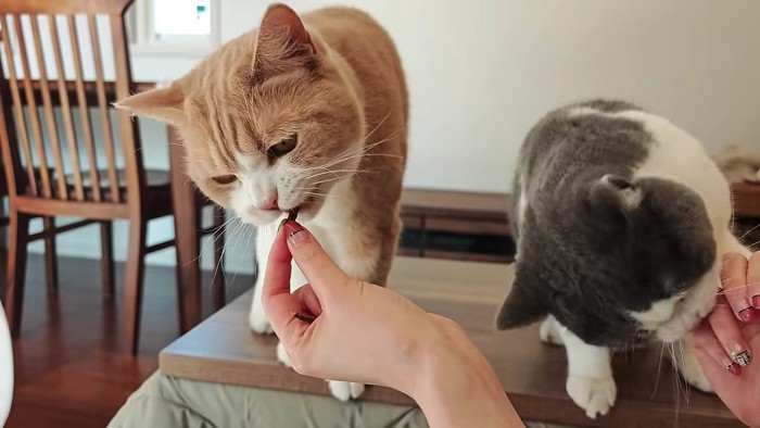 左がちくわくん