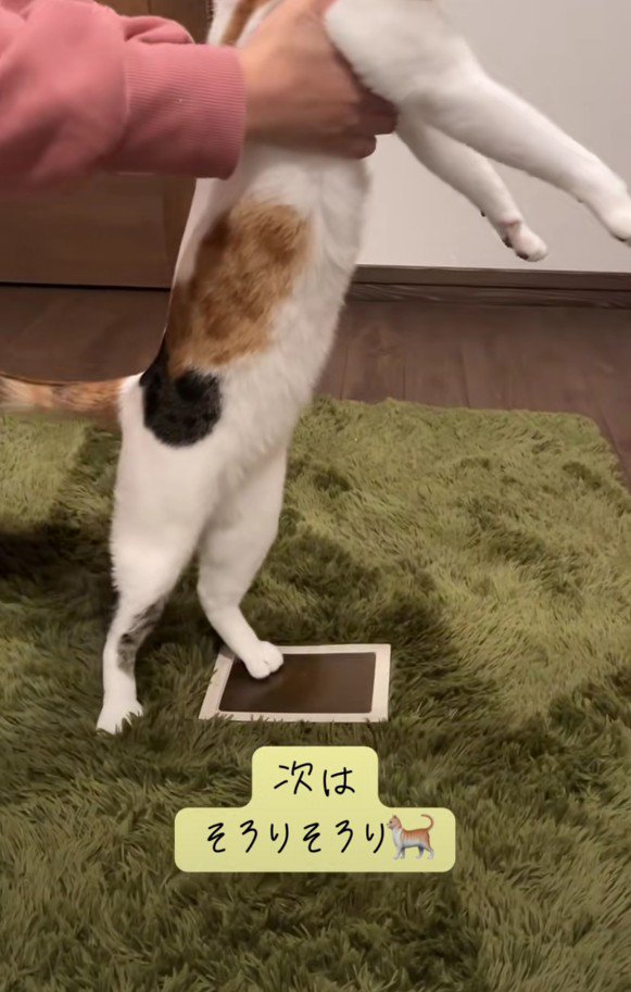 足形をとる小町ちゃん