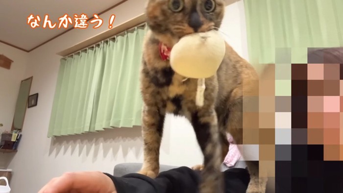 なんか違う！