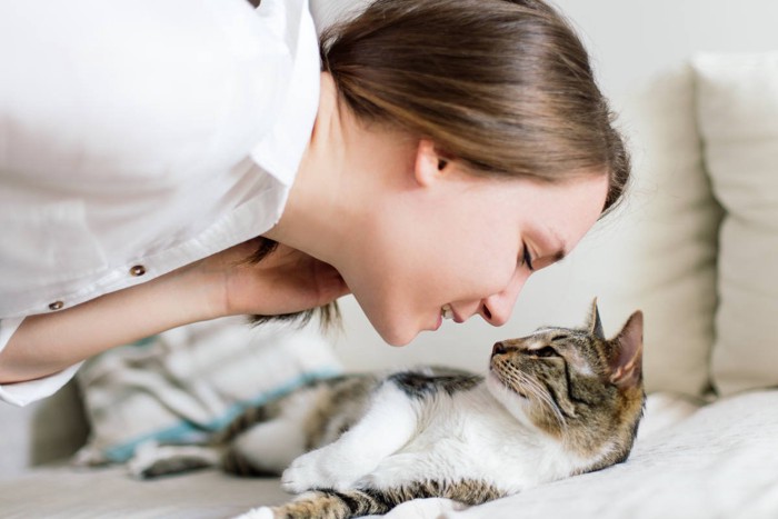 顔を近づける女性と猫