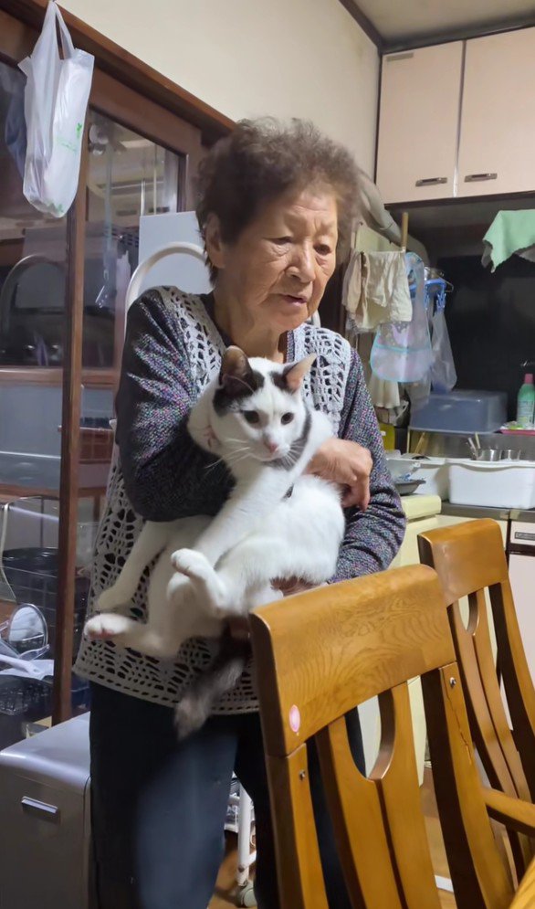 猫を抱っこするおばあちゃん