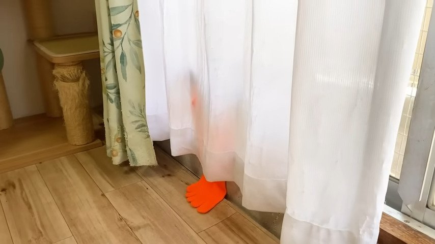 カーテンからオレンジ色の靴下が見えている様子